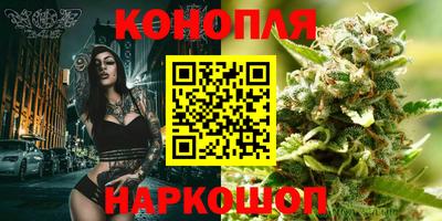 индика Малгобек