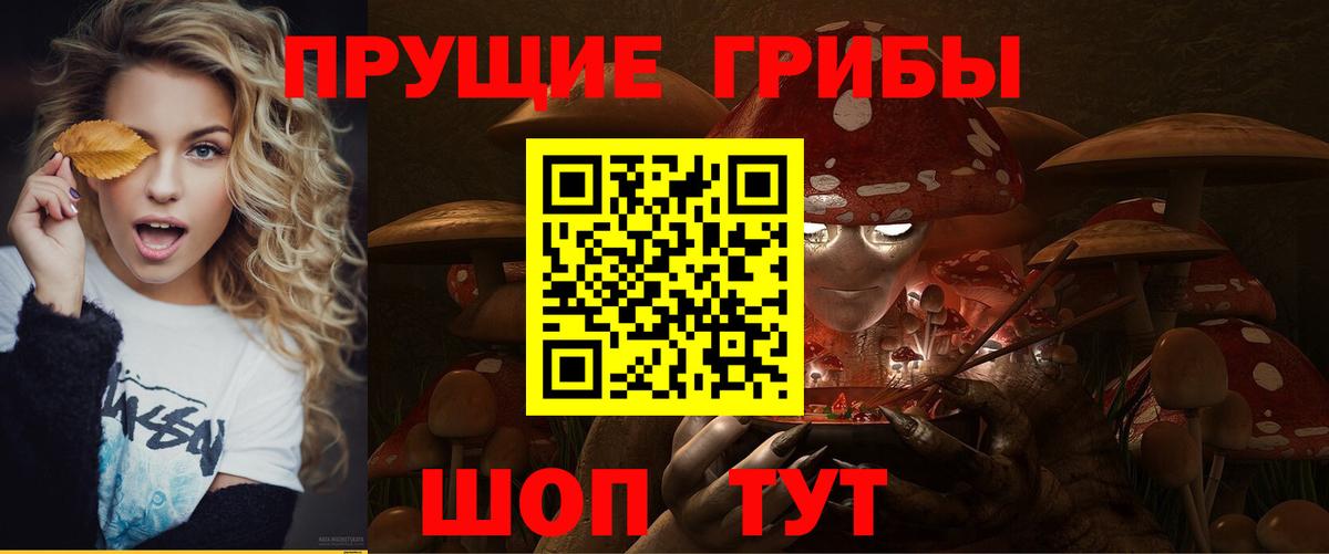 Псилоцибиновые грибы Psilocybe Всеволожск